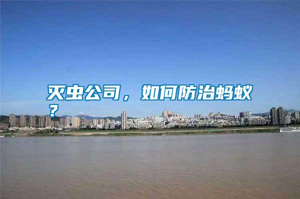 滅蟲公司，如何防治螞蟻？