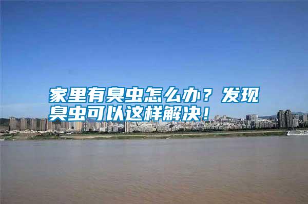 家里有臭蟲怎么辦？發(fā)現(xiàn)臭蟲可以這樣解決！