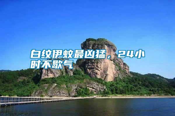 白紋伊蚊最兇猛，24小時不歇?dú)?/></p>
             <p style=