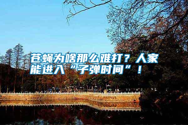 蒼蠅為啥那么難打？人家能進(jìn)入“子彈時(shí)間”！