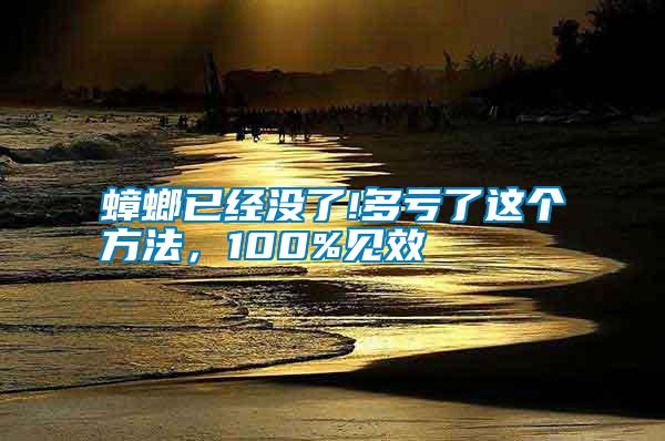 蟑螂已經(jīng)沒(méi)了!多虧了這個(gè)方法，100%見(jiàn)效