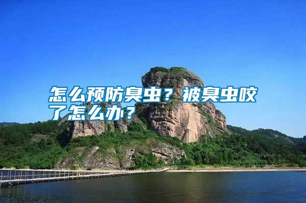 怎么預(yù)防臭蟲？被臭蟲咬了怎么辦？