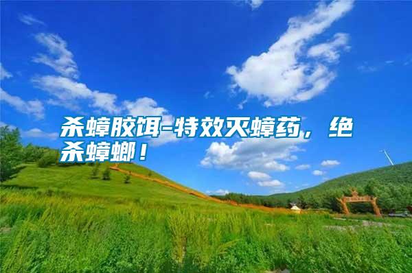 殺蟑膠餌-特效滅蟑藥，絕殺蟑螂！