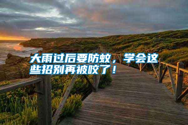 大雨過后要防蚊，學(xué)會這些招別再被咬了！