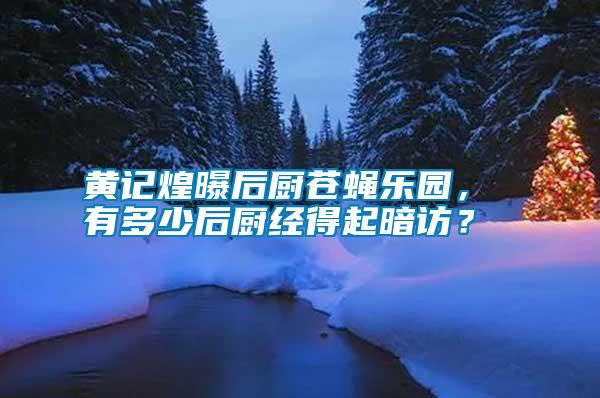 黃記煌曝后廚蒼蠅樂園， 有多少后廚經(jīng)得起暗訪？