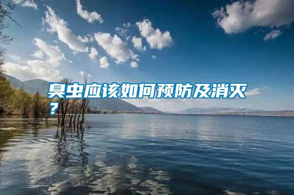 臭蟲應(yīng)該如何預防及消滅？