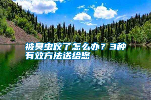 被臭蟲咬了怎么辦？3種有效方法送給您