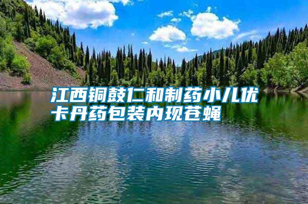江西銅鼓仁和制藥小兒優(yōu)卡丹藥包裝內現(xiàn)蒼蠅