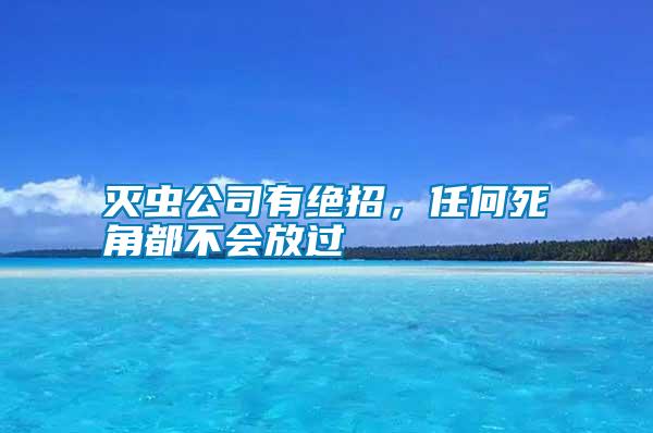 滅蟲公司有絕招，任何死角都不會放過