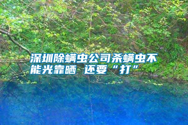 深圳除螨蟲(chóng)公司殺螨蟲(chóng)不能光靠曬 還要“打”