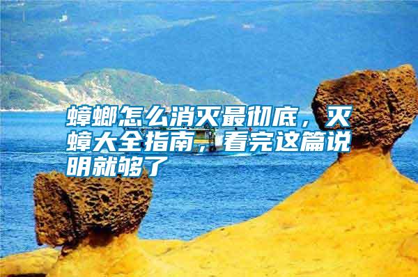 蟑螂怎么消滅最徹底，滅蟑大全指南，看完這篇說明就夠了