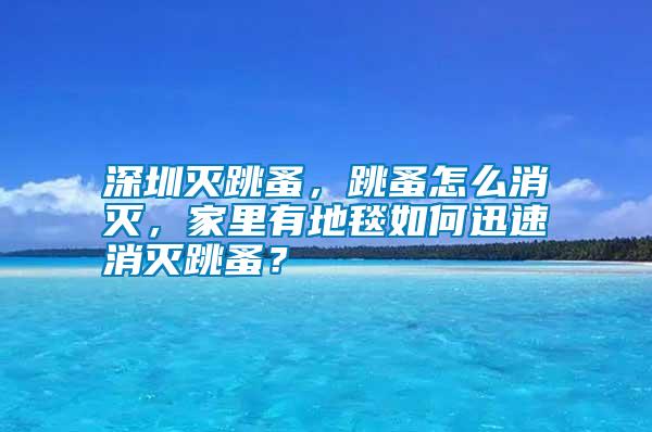 深圳滅跳蚤，跳蚤怎么消滅，家里有地毯如何迅速消滅跳蚤？