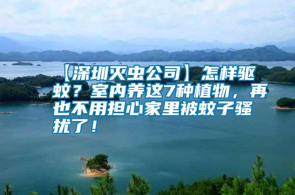 【深圳滅蟲公司】怎樣驅(qū)蚊？室內(nèi)養(yǎng)這7種植物，再也不用擔(dān)心家里被蚊子騷擾了！