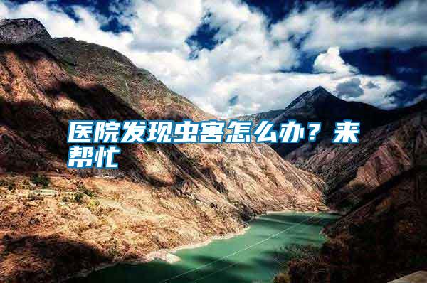 醫(yī)院發(fā)現(xiàn)蟲(chóng)害怎么辦？來(lái)幫忙