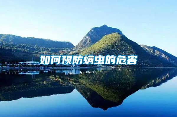 如何預(yù)防螨蟲(chóng)的危害
