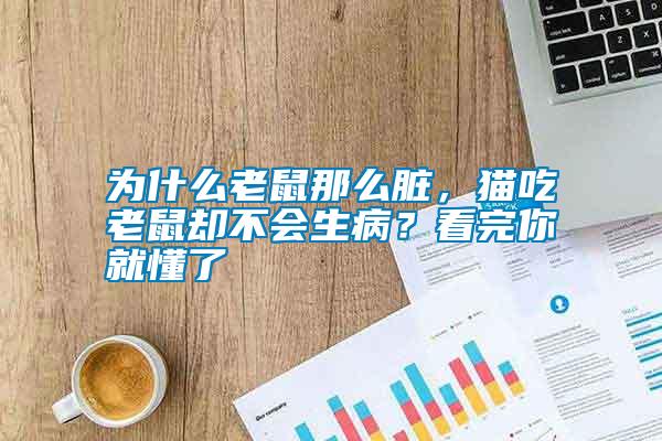 為什么老鼠那么臟，貓吃老鼠卻不會生病？看完你就懂了