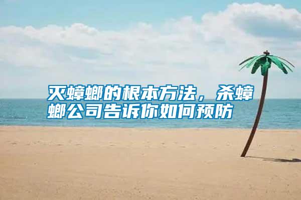 滅蟑螂的根本方法，殺蟑螂公司告訴你如何預防