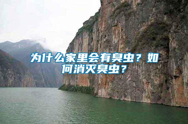 為什么家里會(huì)有臭蟲？如何消滅臭蟲？