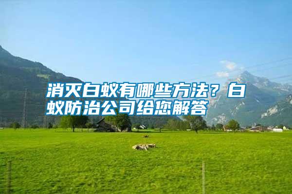 消滅白蟻有哪些方法？白蟻防治公司給您解答