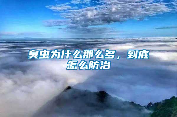 臭蟲為什么那么多，到底怎么防治