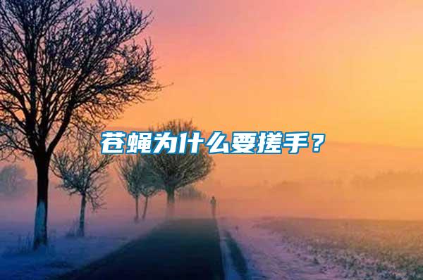 蒼蠅為什么要搓手？