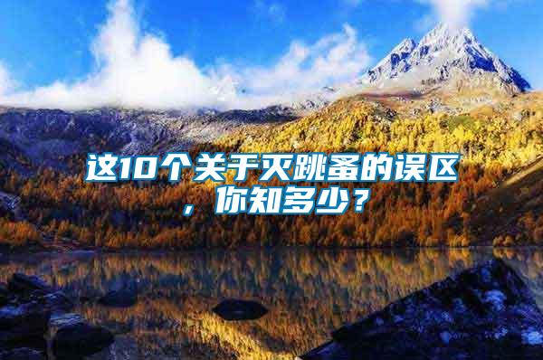 這10個關(guān)于滅跳蚤的誤區(qū)，你知多少？