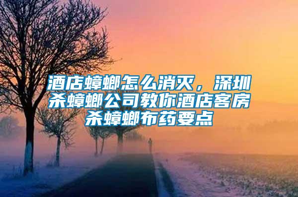 酒店蟑螂怎么消滅，深圳殺蟑螂公司教你酒店客房殺蟑螂布藥要點