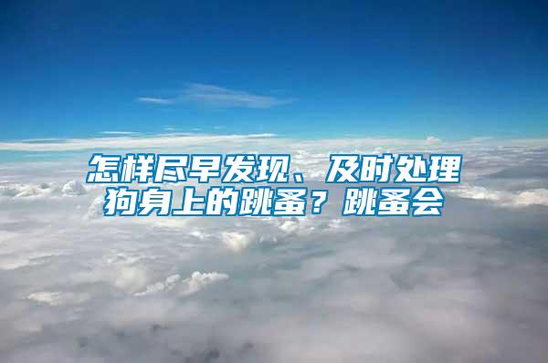 怎樣盡早發(fā)現(xiàn)、及時(shí)處理狗身上的跳蚤？跳蚤會(huì)