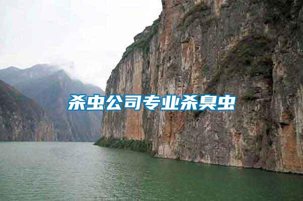 殺蟲(chóng)公司專(zhuān)業(yè)殺臭蟲(chóng)