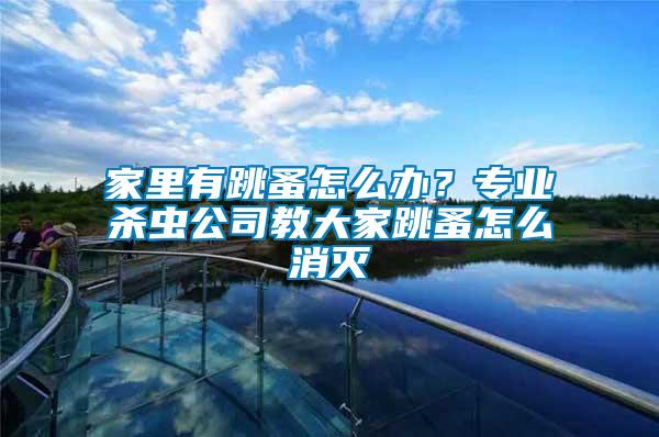 家里有跳蚤怎么辦？專業(yè)殺蟲(chóng)公司教大家跳蚤怎么消滅