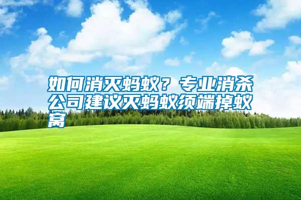 如何消滅螞蟻？專業(yè)消殺公司建議滅螞蟻須端掉蟻窩