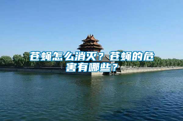 蒼蠅怎么消滅？蒼蠅的危害有哪些？