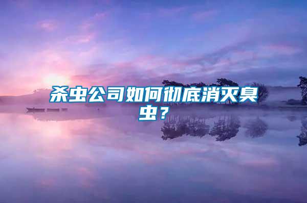 殺蟲公司如何徹底消滅臭蟲？