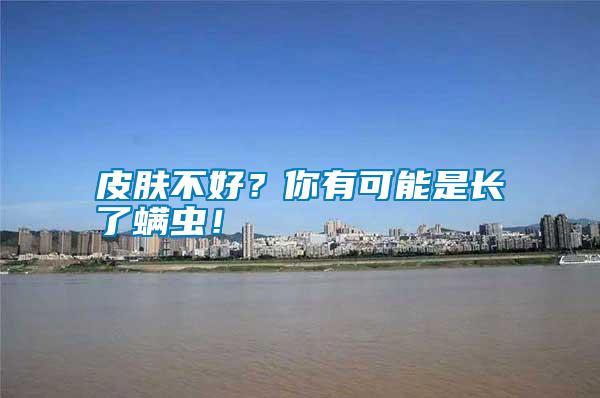 皮膚不好？你有可能是長了螨蟲！