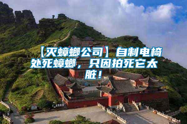 【滅蟑螂公司】自制電椅處死蟑螂，只因拍死它太臟！