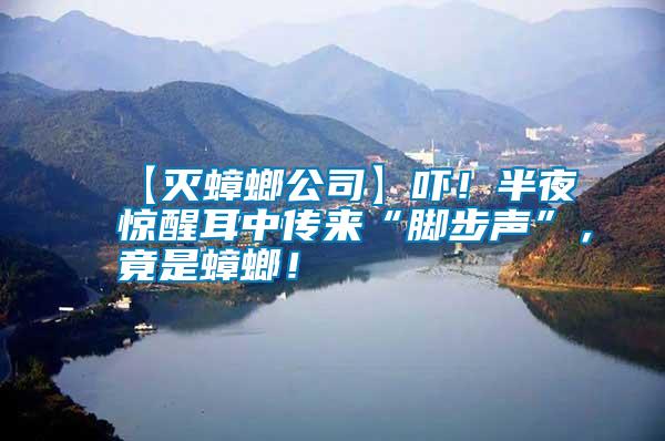 【滅蟑螂公司】嚇！半夜驚醒耳中傳來(lái)“腳步聲”，竟是蟑螂！