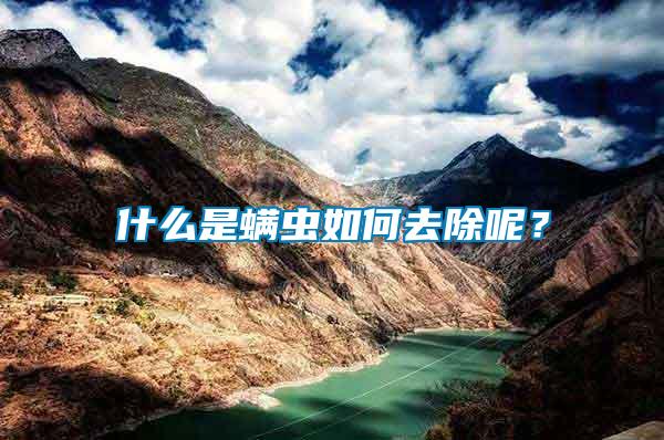 什么是螨蟲如何去除呢？