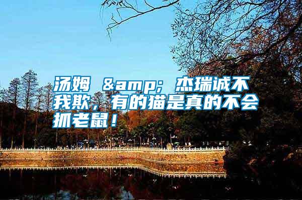 湯姆 & 杰瑞誠不我欺，有的貓是真的不會抓老鼠！