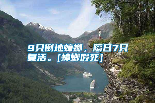 9只倒地蟑螂，隔日7只復(fù)活。[蟑螂假死]