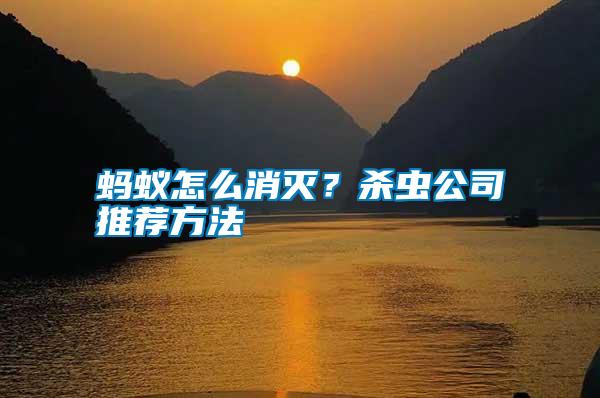 螞蟻怎么消滅？殺蟲公司推薦方法
