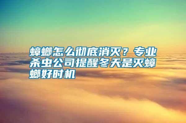 蟑螂怎么徹底消滅？專業(yè)殺蟲公司提醒冬天是滅蟑螂好時(shí)機(jī)