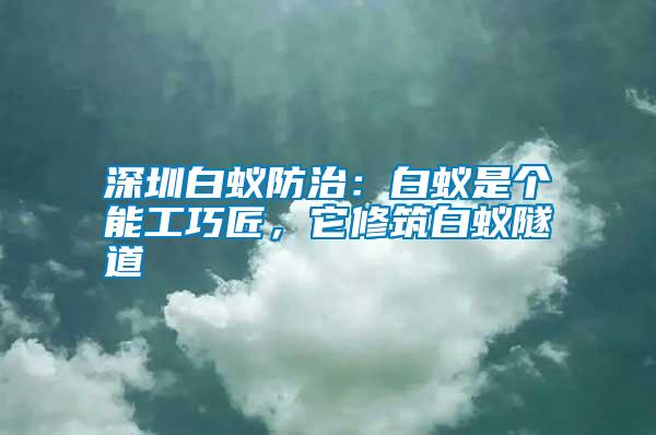 深圳白蟻防治：白蟻是個(gè)能工巧匠，它修筑白蟻隧道