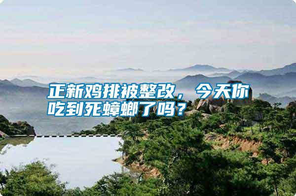 正新雞排被整改，今天你吃到死蟑螂了嗎？