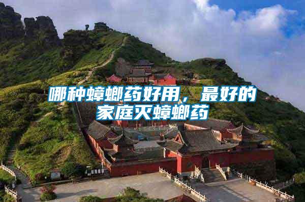 哪種蟑螂藥好用，最好的家庭滅蟑螂藥