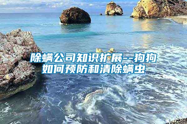 除螨公司知識(shí)擴(kuò)展--狗狗如何預(yù)防和清除螨蟲