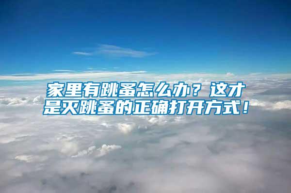 家里有跳蚤怎么辦？這才是滅跳蚤的正確打開方式！