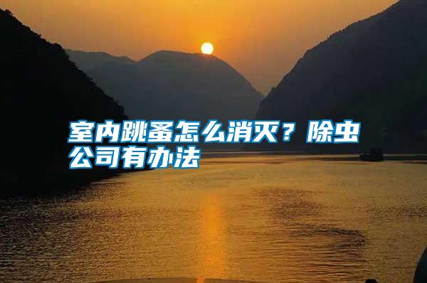 室內(nèi)跳蚤怎么消滅？除蟲公司有辦法