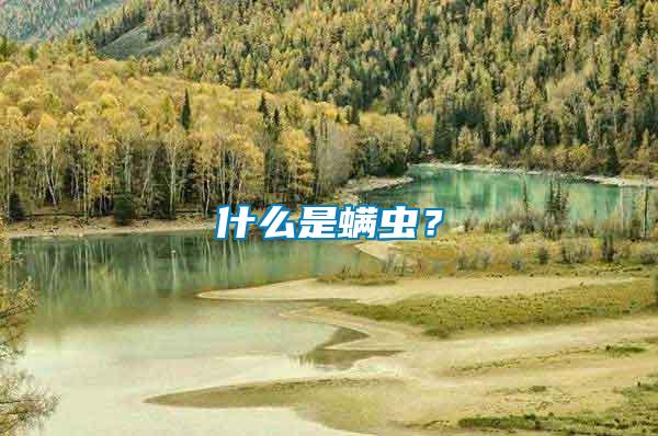 什么是螨蟲(chóng)？
