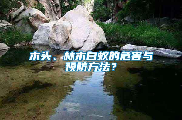 木頭、林木白蟻的危害與預(yù)防方法？