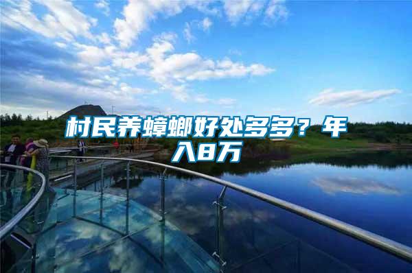 村民養(yǎng)蟑螂好處多多？年入8萬